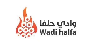 كوبون وادي حلفا